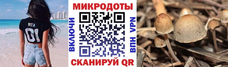 Галлюциногенные грибы Magic Shrooms  Алзамай 
