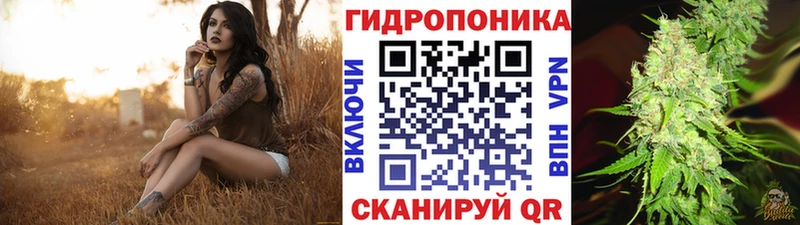 гидра зеркало Алзамай Бошки марихуана SATIVA & INDICA как найти наркотики